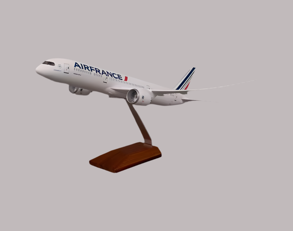 Boeing 787-8