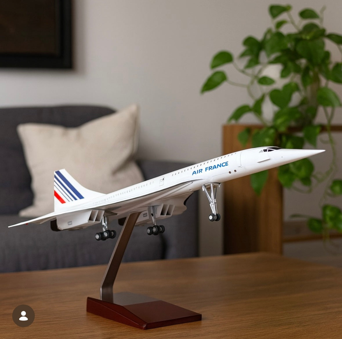 Concorde Air France 🇫🇷 -1:125 - Finition Premium