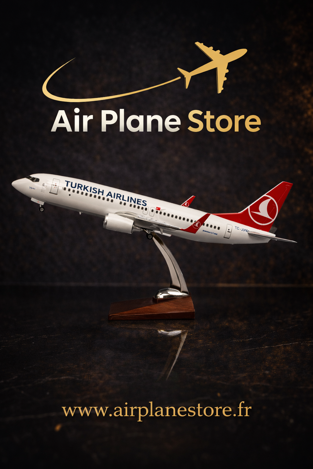 Boeing 737 - Échelle 1:85 - Finition Premium