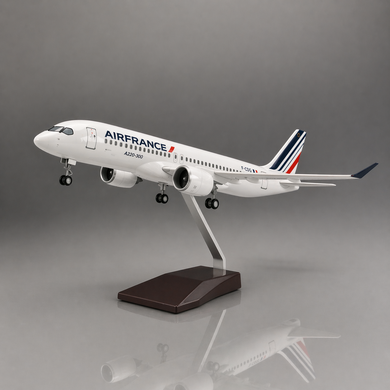 Airbus A220 Air France 🇫🇷 1:100 38cm 