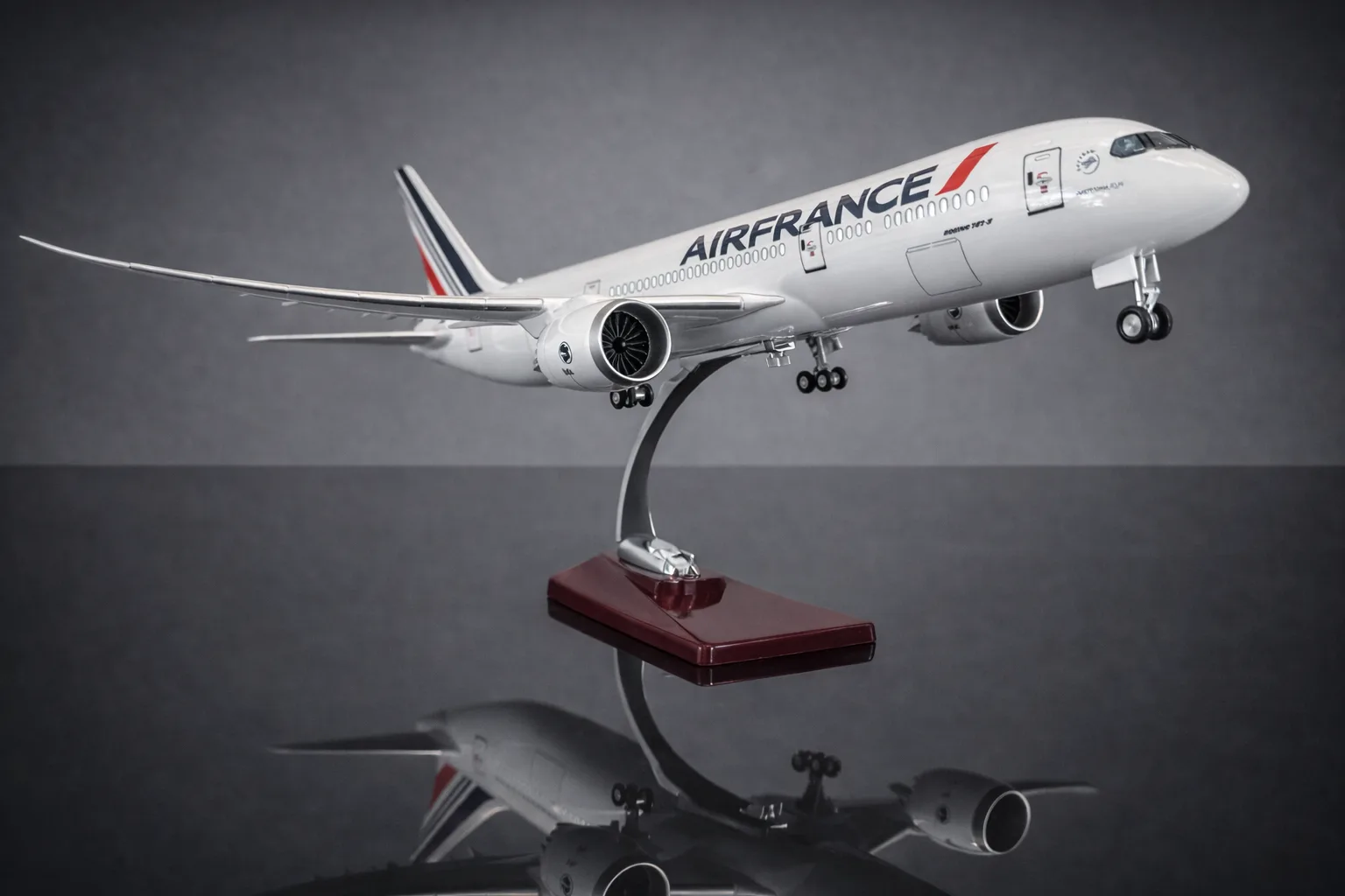 Boeing 787 Air France 🇫🇷 1:130 43cm LED